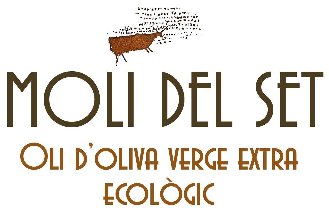 cropped cropped md7 1.jpg