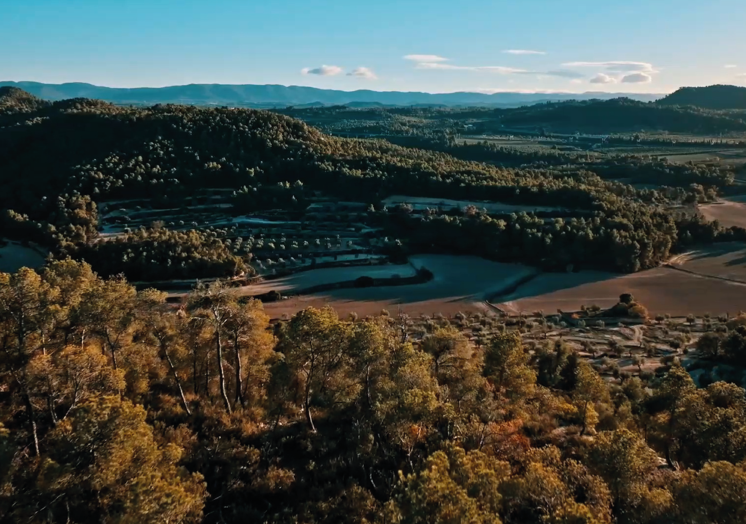 imatges web md7 2025 copia 26